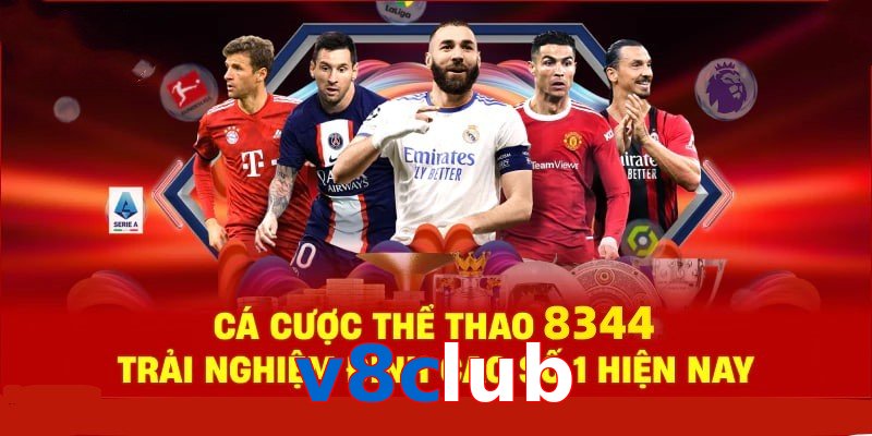 Đá Gà Philippines – Tinh Hoa Truyền Thống Và Thể Thao 